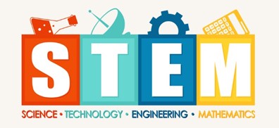 stem