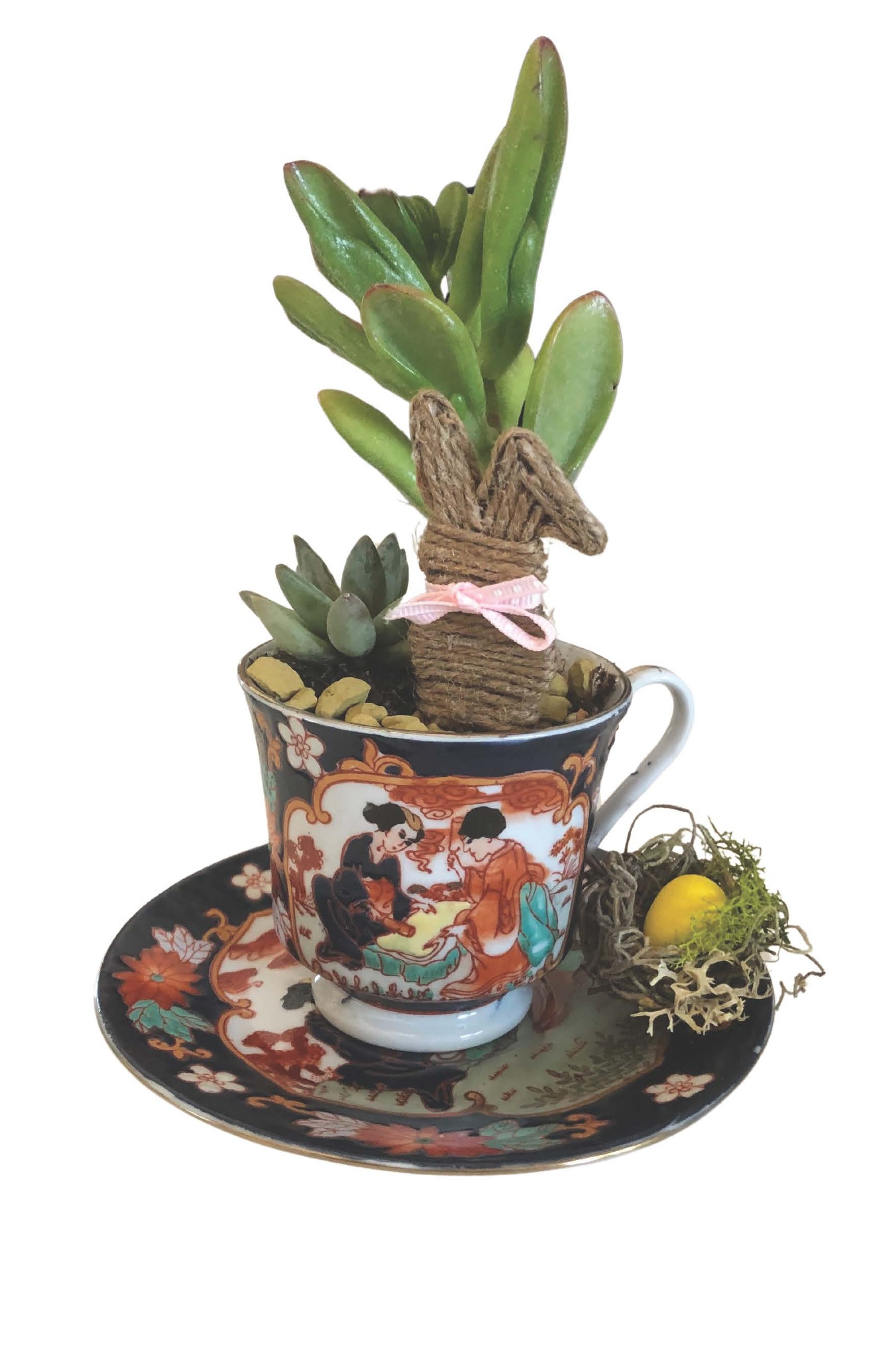 Succulent Teacup