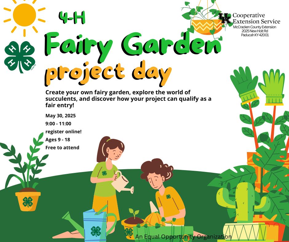fairy garden