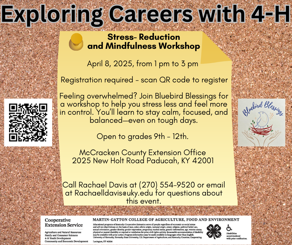 Mindfullness Flyer