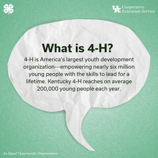 what is 4-H