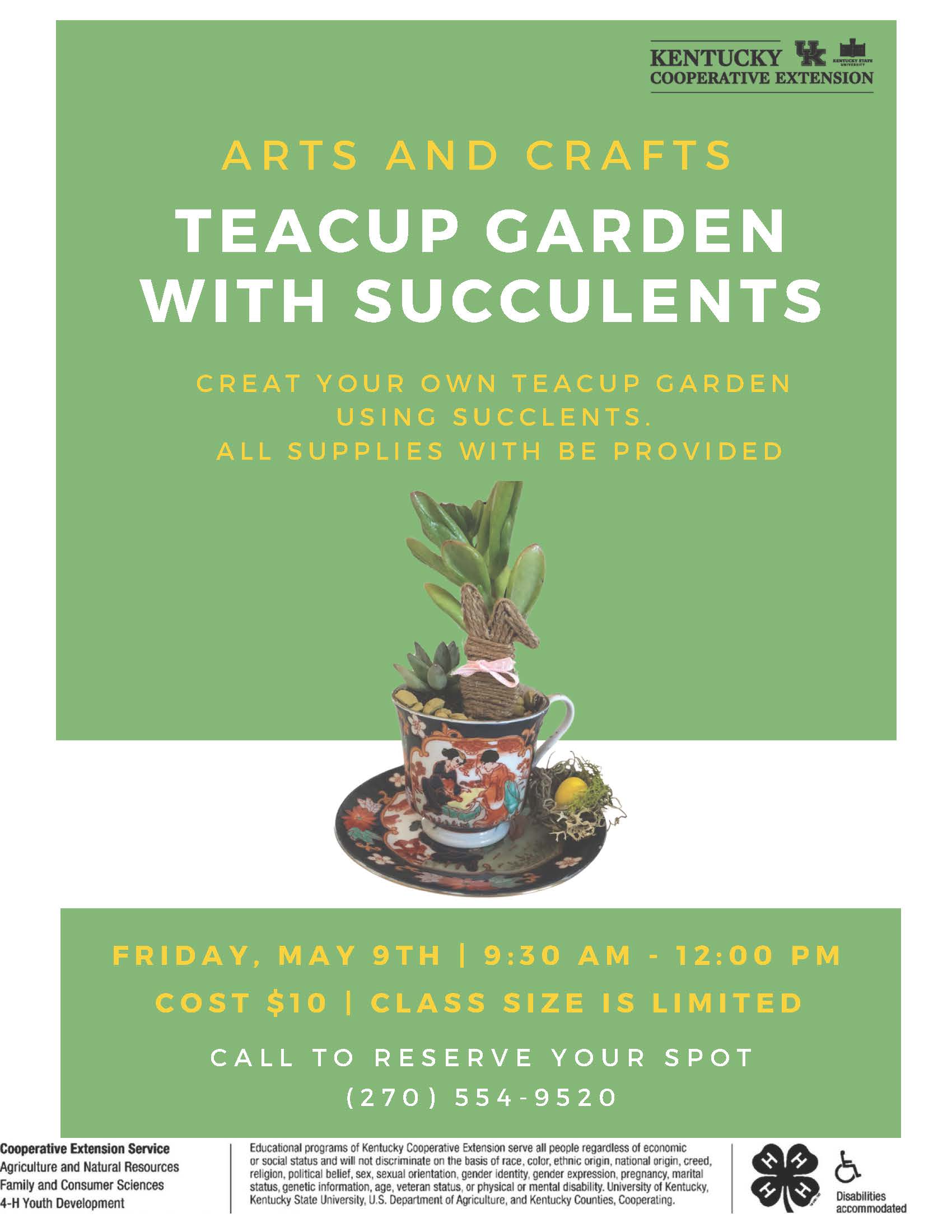 Teacup Succulents