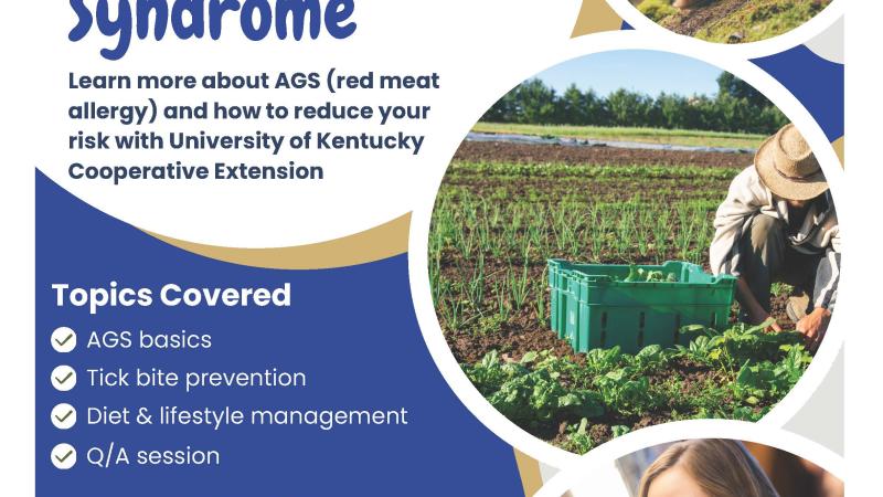 Flyer for Alpha-gal Syndrome Webinar Event