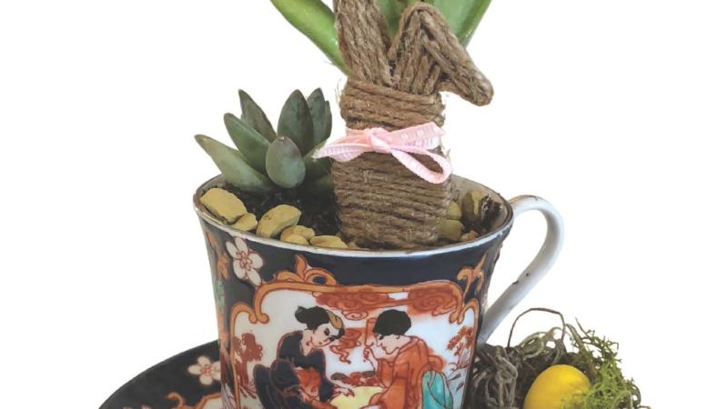 Succulent Teacup